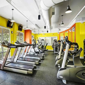 Visconti fitness center with cardio equipment, treadmills, bikes and ellipticals
