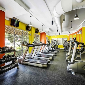 Fitness center at Visconti featuring free weights, treadmills, bicycle machines, elliptical machines and weight machines with flat screens on the walls
