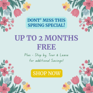 Spring Special - Up to 2 months free, plus tour & lease for additional savings.